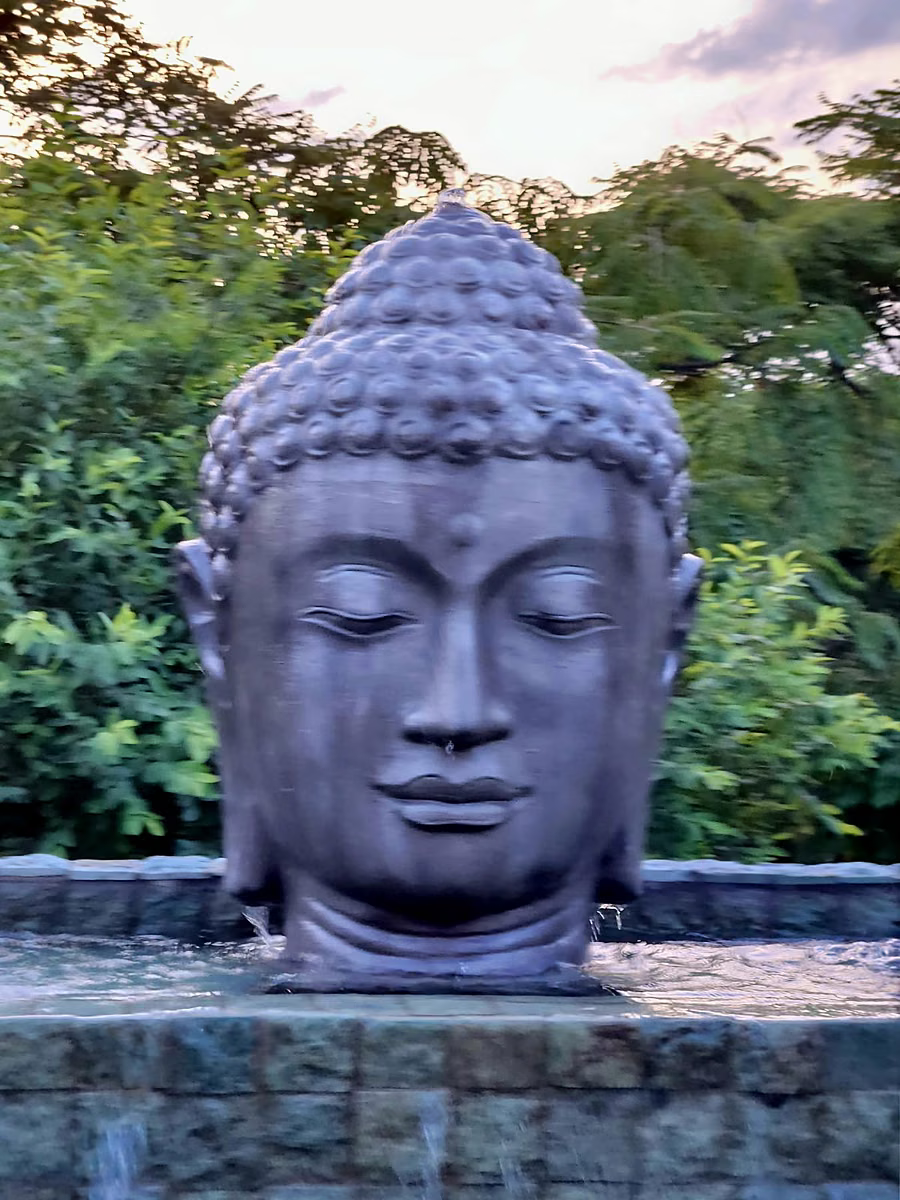 A large stone Buddha head rising from the water feature, with the bush behind