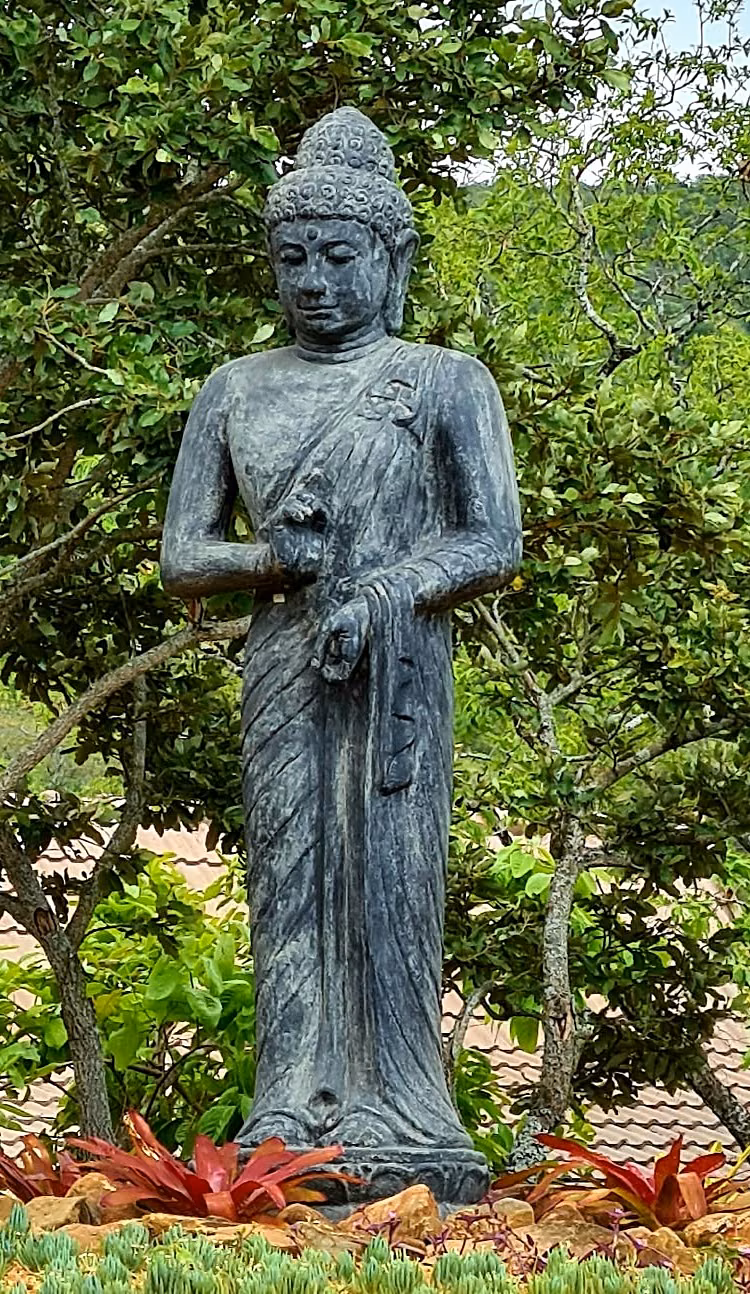A dark standing Buddha among bromeliads and aloes