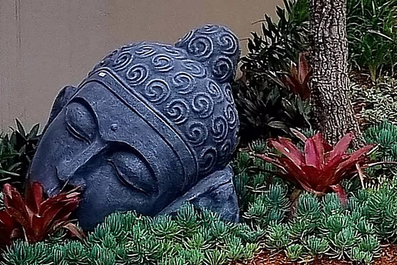 A dark stone Buddha head resting among bromeliads