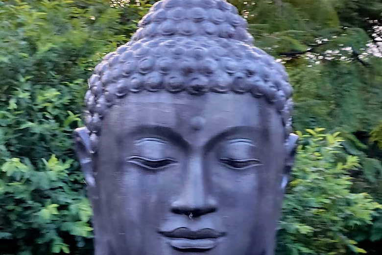 A large stone Buddha head rising from the water feature